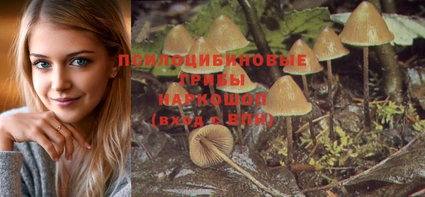 дмт Горно-Алтайск