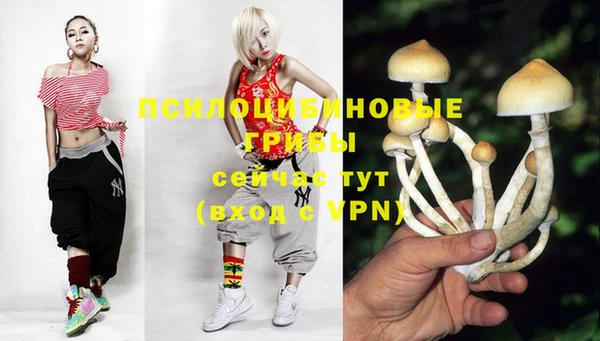 mix Горнозаводск