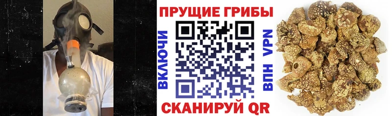 Галлюциногенные грибы Cubensis  сайты даркнета Telegram  Тетюши  наркошоп 